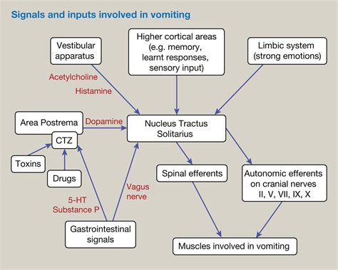 Postoperative nausea and vomiting - Anaesthesia & Intensive Care Medicine