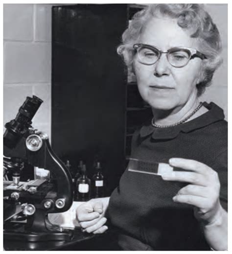 Resultado de imagen de ethel d. allen