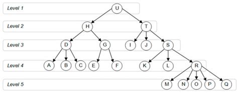 Hierarchy-Based Competency Structure and Its Application in E-Evaluation