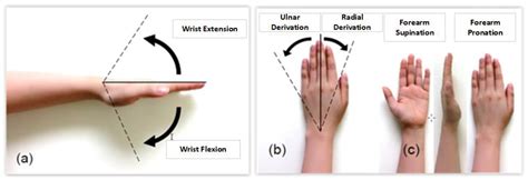 A New Wrist–Forearm Rehabilitation Protocol Integrating Human ...