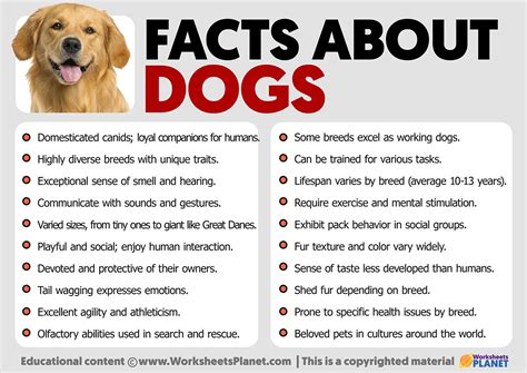 Information About Dogs 的图像结果