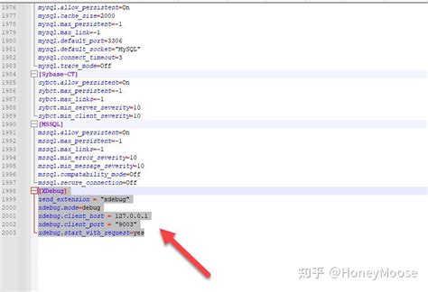 Check Xdebug Errors 的图像结果