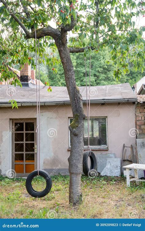 Tire Swings on a Cherry Tree in Front of a Small House Editorial Stock ...