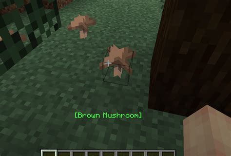 Image result for Minecraft Java Thumbnail Live