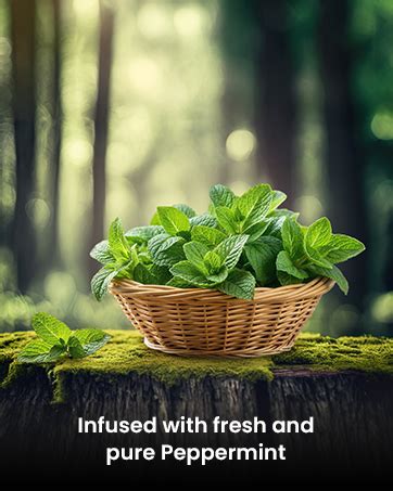 100% Plant Based Peppermint Essential Oil for Hair Growth | Repel Rats ...