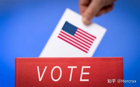 选举 的图像结果