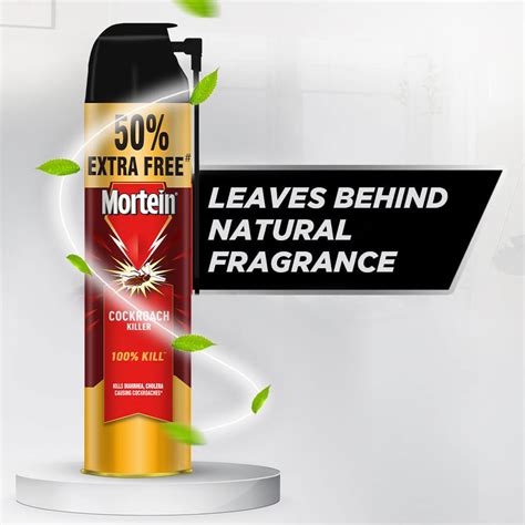 Buy Mortein Cockroach Killer Spray, 425 ml | 19 Minutes Delivery ...
