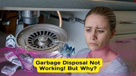 Garbage Disposal Reset Button Not Working 的图像结果