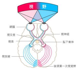 Pip Install Python Macos 的图像结果