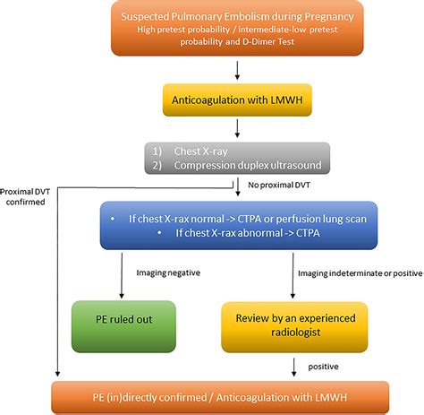 Pulmonary Embolism Algorithm 的图像结果