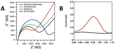 The Optimization of a Label-Free Electrochemical DNA Biosensor for ...