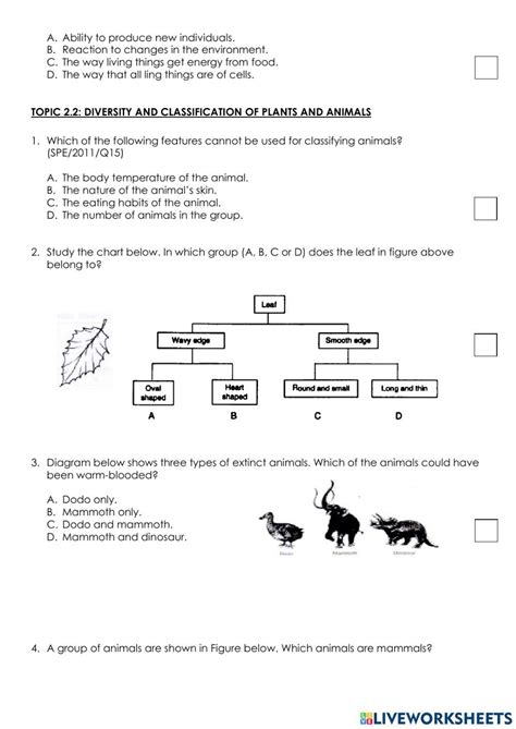 Image result for Classification Living Things Worksheet
