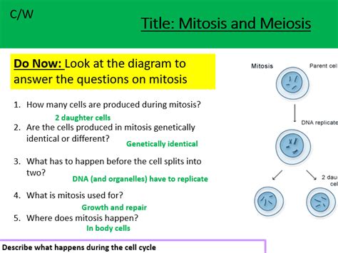 Free Lesson Biology Cell Divison 的图像结果