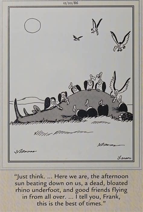 10 Brilliant Far Side Comics Starring Buzzards, Vultures, & Other Birds of Prey