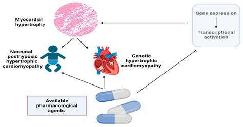 Combined Pharmacological Modulation of Translational and ...