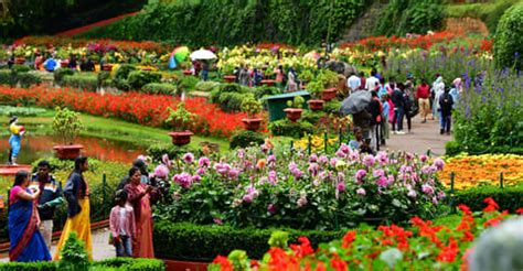 Ooty Summer Festival 2026: Dates, Schedule, How to Reach, & Tips