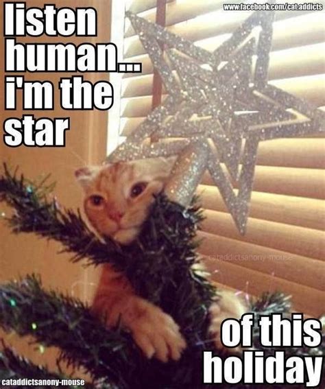 Image result for Patsy Stone Xmas Meme