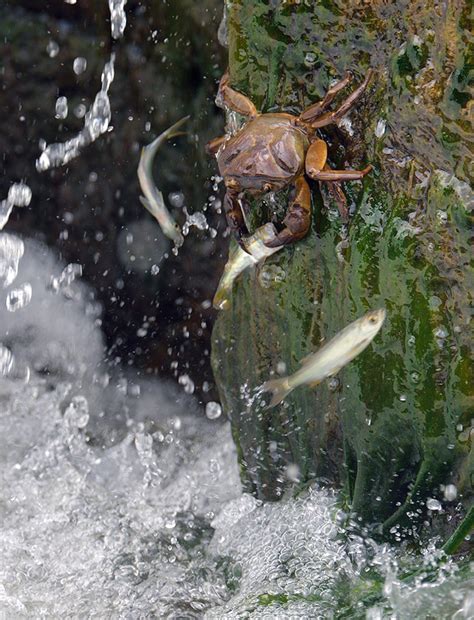 11th Edition of DJ memorial Photography Contest