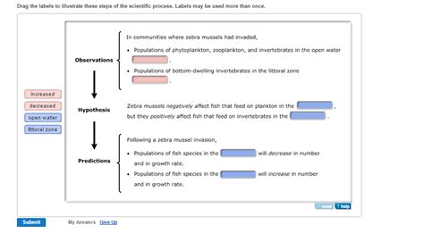 Image result for Scientific Method Fish Graph
