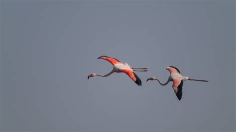 Rule Of Odds | What is the Rule of Odds and How to Use it in ...