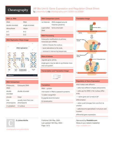 AP Bio Unit 6: Gene Expression and Regulation Cheat Sheet by ...