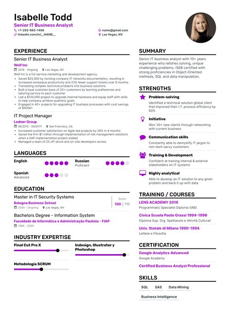 Resume Summary Examples Information Technology 的图像结果