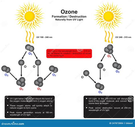 Image result for Ozone Formation