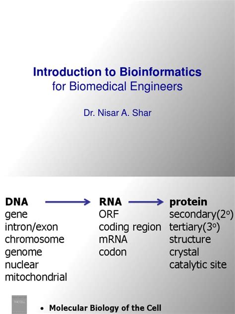 Bioinformatics Introduction 的图像结果