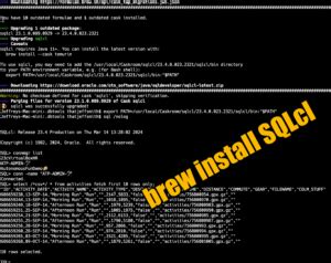 Image result for Oracle Run SQL Command Line App Download