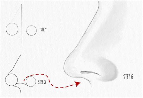 Image result for How to Draw Simple Noses