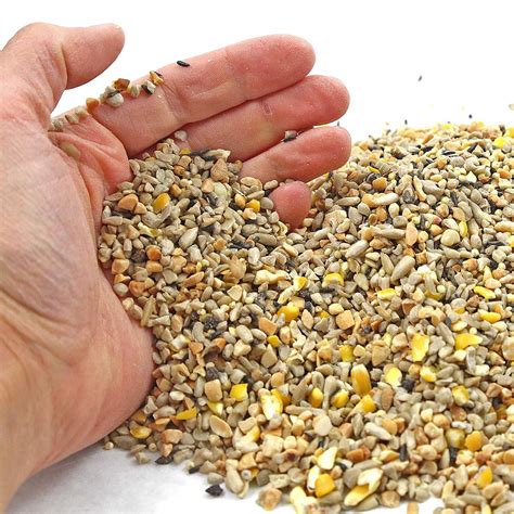 Bird Seed Stores Edmonton at Mercedes Jackson blog