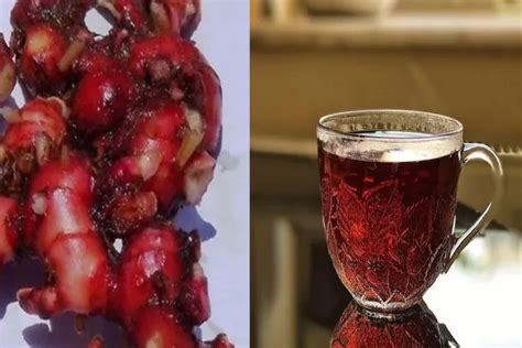 manfaat minum angkak