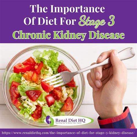 The importance of diet for stage 3 chronic kidney disease – Artofit