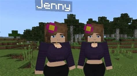 How Install Jenny Mod 的图像结果