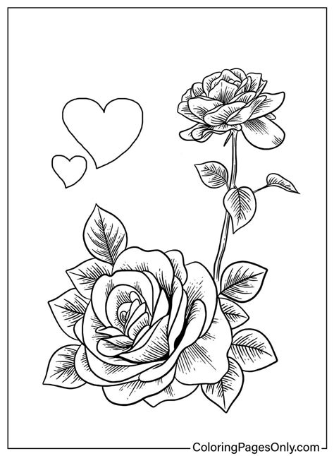 108 Rose Coloring Pages - ColoringPagesOnly.com