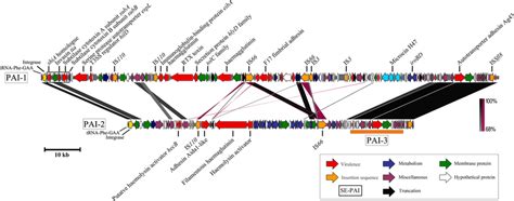 Image result for Pathogenicity Islands