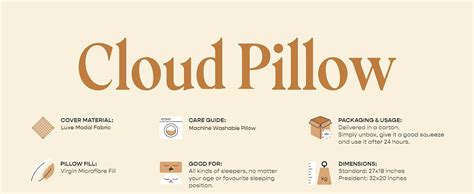 SleepyCat Microfiber Cloud Pillow with Adjustable Zipper Set of 2 ...