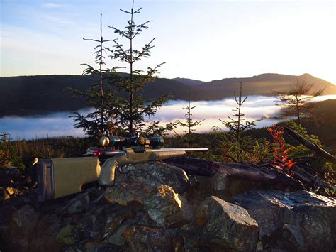 Who considers a 243 an all around deer rifle - 24hourcampfire