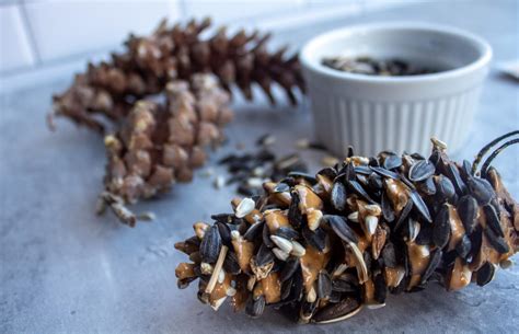 Pine Cone Bird Feeder