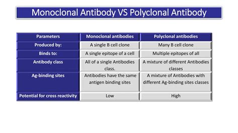 Monoclonal antibody production by hybridoma technology | PPTX