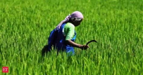 Gazing at states: Higher the growth rates, greater the fall in poverty ...