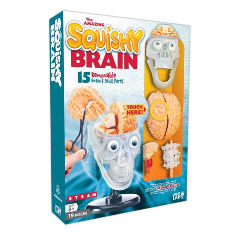 Buy The Amazing Squishy Brain Book Online at Low Prices in India | The ...