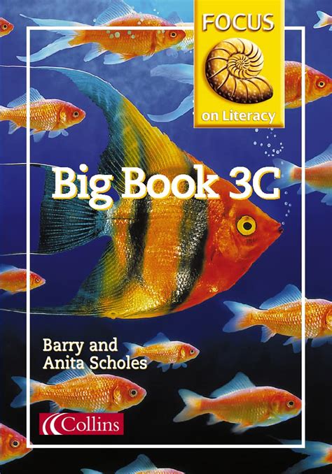 Buy Big Book 3C: Lively texts and vibrant illustrations support shared ...
