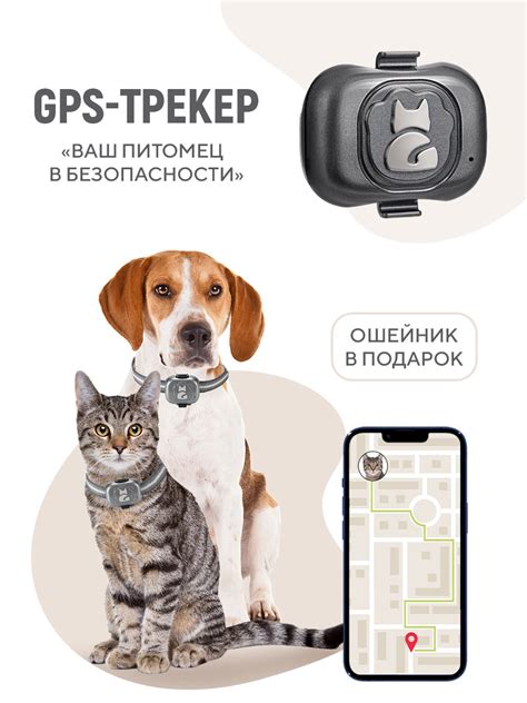 GPS-трекер для животных собак и кошек — отзывы покупателей