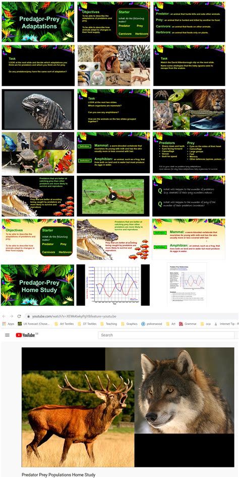 Adaptations KS3 的图像结果