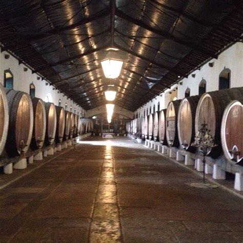 ADEGA REGIONAL DE COLARES (2024) All You Need to Know BEFORE You Go ...