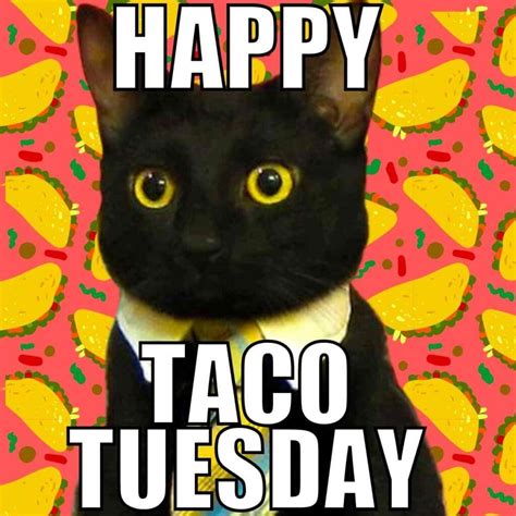 20 Funny Taco Tuesday Memes To Spice Up Your Feed