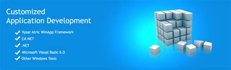 Image result for Customized Application Software