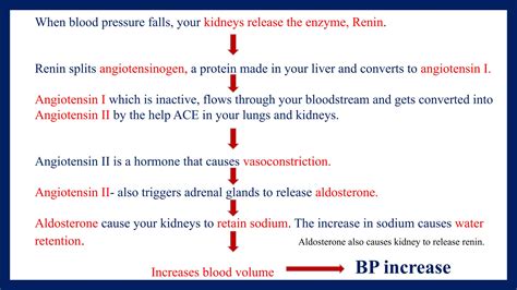 PATHOPHYSIOLOGY OF HYPERTENSION- AS PER 2ND SEMESTER BPHARM SYLLABUS | PPTX