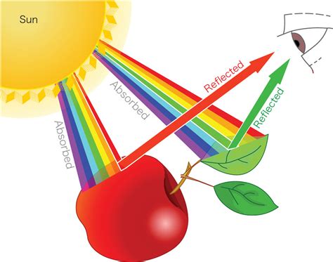 Color Vision 的图像结果